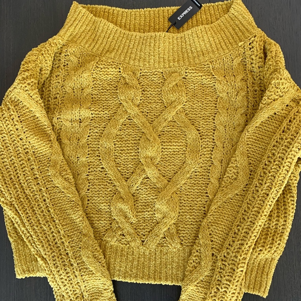 NWT express sweater! Various sizes